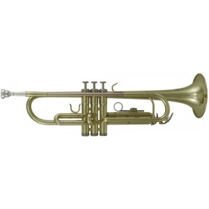 Bb-trumpeta Roy Benson TR-101 