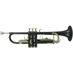 Bb-trumpeta Roy Benson TR-101K 