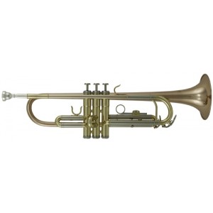 Bb-trumpeta Roy Benson TR-202G 